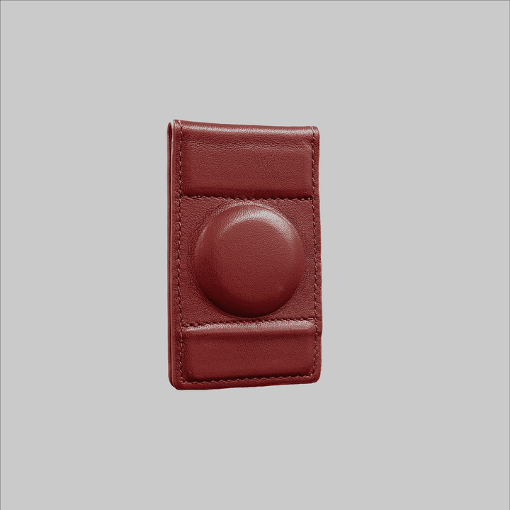 Clip AirTag 2 en 1